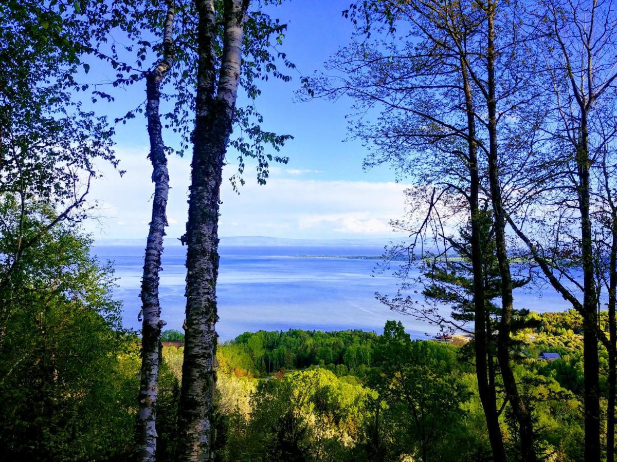 Auberge De La Rive De Charlevoix - Auberge De Jeunesse Familiale Pour Voyageurs De Tous Ages Saint-Joseph-de-la-Rive Екстериор снимка